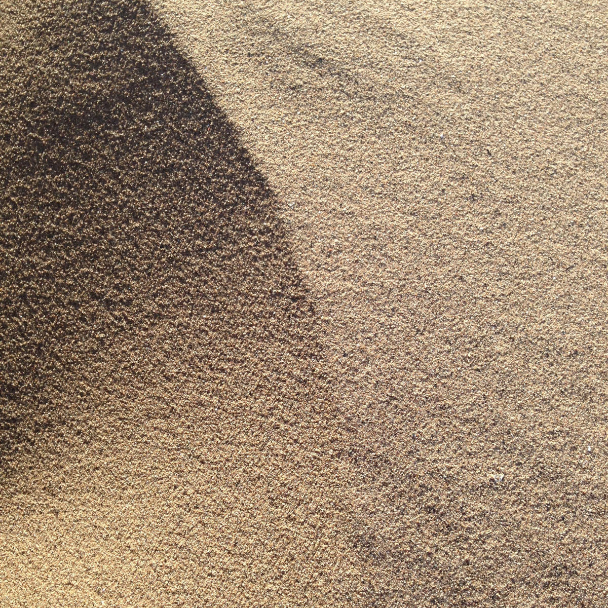 沙滩粒砂